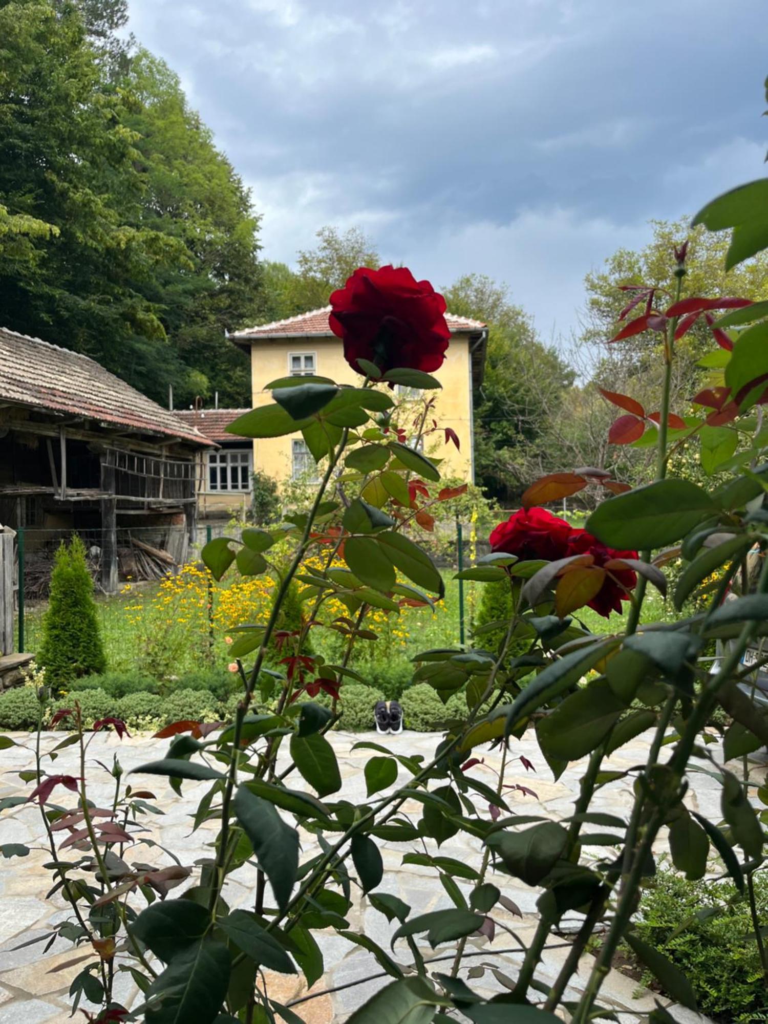 Verta House Трявна Екстериор снимка
