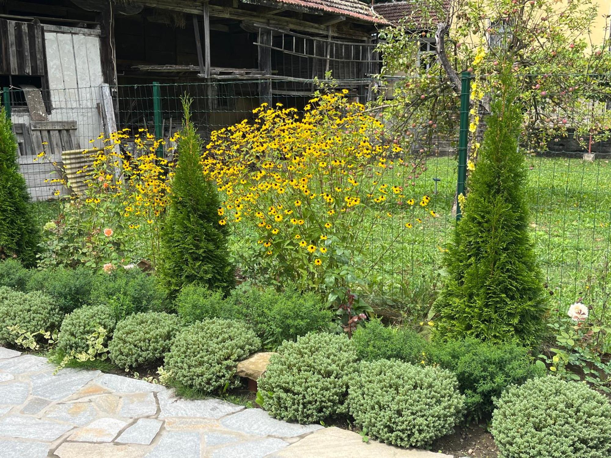 Verta House Трявна Екстериор снимка